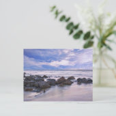 Carte Postale Brume pourpre (Debout devant)