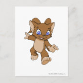 Carte Postale Brun d'Acara (Devant)