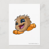 Carte Postale Brun de JubJub (Devant)