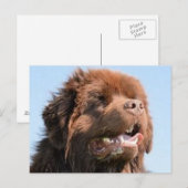 Carte Postale brun nouveau.png (Devant / Derrière)