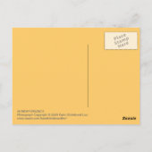 Carte Postale Brunch du dimanche (Dos)