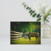 carte postale brune et blanche (Debout devant)