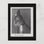 Carte Postale Brunnhilde kitty (Devant)