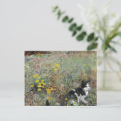 Carte Postale Bruno Liljefors - Chat sur Flowerbed (Debout devant)