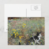 Carte Postale Bruno Liljefors - Chat sur Flowerbed (Devant / Derrière)