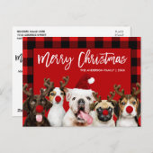 Carte Postale Brush Script Joyeux Chiens de Noël Rouge Plaid (Devant / Derrière)