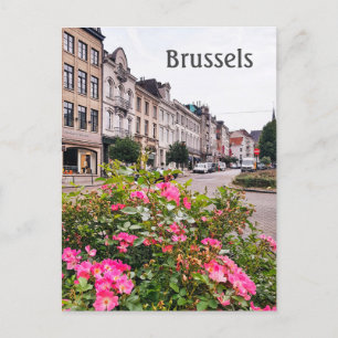 Carte Postale Bruxelles Belgique