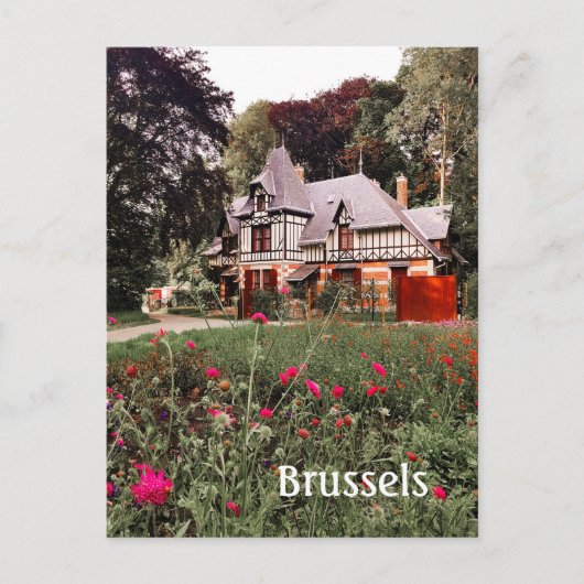 Carte Postale Bruxelles Belgique (Devant)