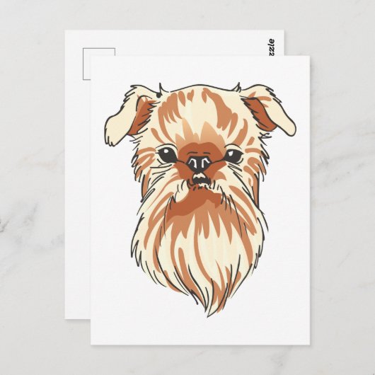 Carte Postale Bruxelles Griffon (Devant / Derrière)