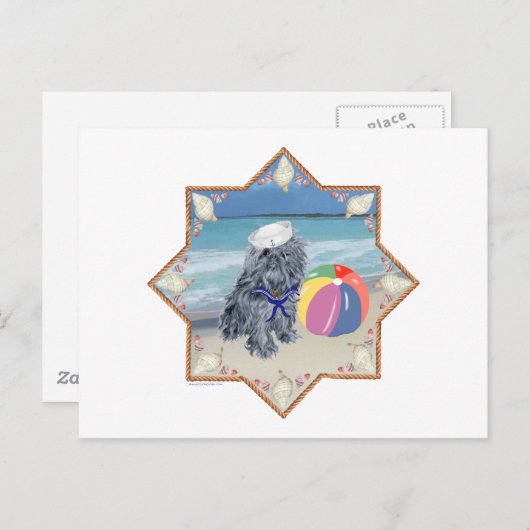 Carte Postale Bruxelles Griffon à la plage (Devant / Derrière)