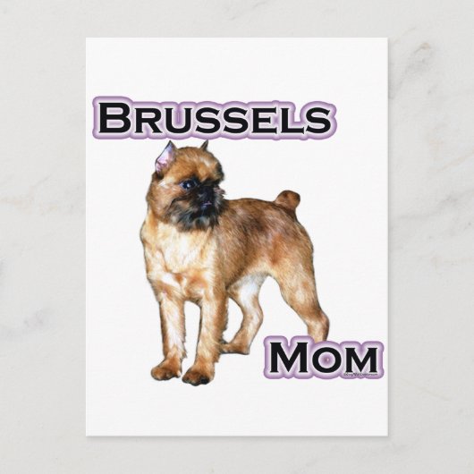 Carte Postale Bruxelles Griffon Maman; Maman de Bruxelles Griffo (Devant)