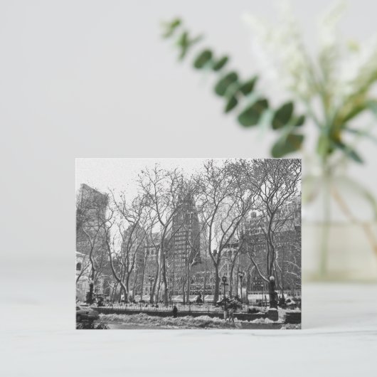 Carte Postale Bryant Park (Debout devant)