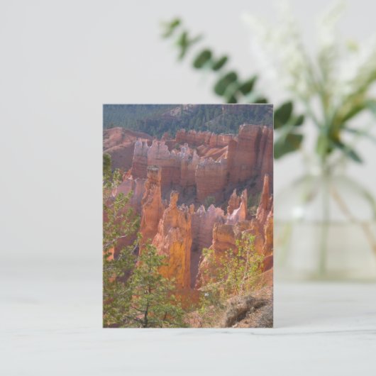 Carte Postale Bryce (Debout devant)