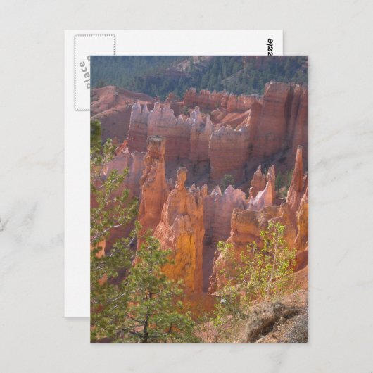 Carte Postale Bryce (Devant / Derrière)