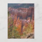 Carte Postale Bryce (Devant)