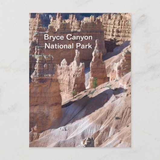 Carte Postale Bryce Canyon (Devant)