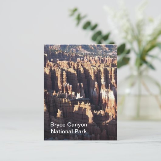 Carte Postale Bryce Canyon (Debout devant)