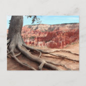 Carte postale Bryce Canyon (Devant)