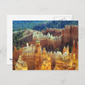 Carte Postale Bryce Canyon (Devant / Derrière)