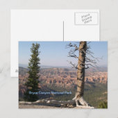 Carte Postale Bryce Canyon (Devant / Derrière)