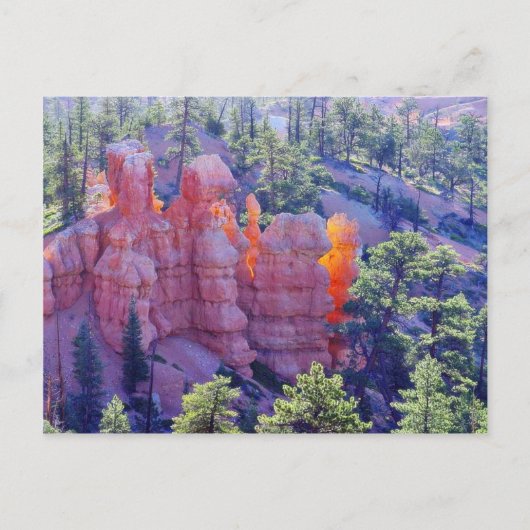 Carte Postale Bryce Canyon brillant (Devant)