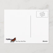 Carte Postale Bryce Point au parc national du canyon Bryce (Dos)