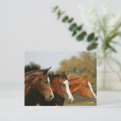 Carte Postale BTtrois quarts de chevaux en tête (Debout devant)