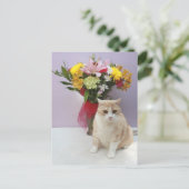 Carte Postale Bubba par Fleurs (Debout devant)