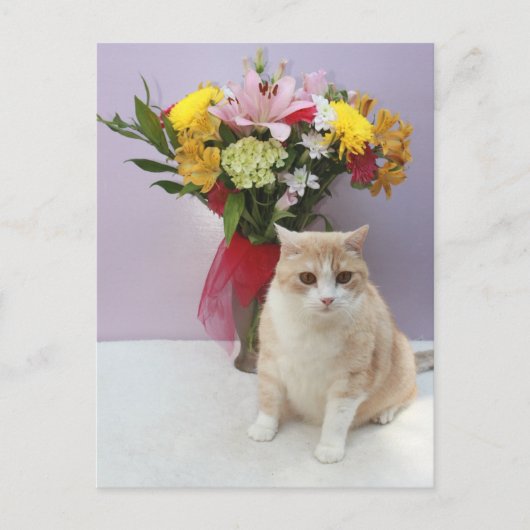 Carte Postale Bubba par Fleurs (Devant)
