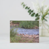 Carte postale Bubbling Creek (Debout devant)