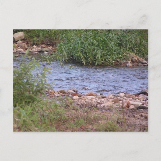 Carte postale Bubbling Creek (Devant)