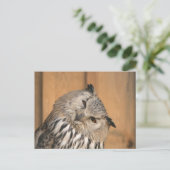Carte Postale Bubo bubo sibiricus (Debout devant)
