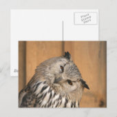 Carte Postale Bubo bubo sibiricus (Devant / Derrière)