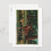 Carte Postale Buck Deer dans le parc national Yosemite (Devant / Derrière)