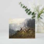 Carte Postale Buck & Doe Deer Herd Dans Le Paysage Forestier Art (Debout devant)