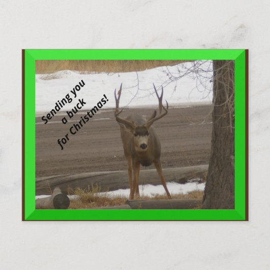 Carte Postale Buck for Christmas Postcard (Devant)