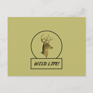 Carte postale Buck Head Kaki foncé