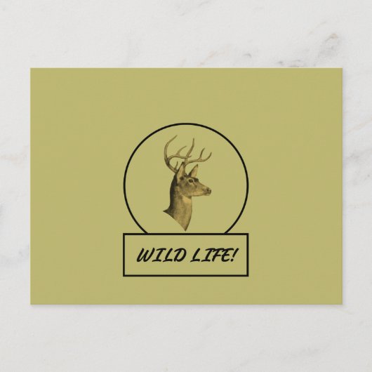 Carte postale Buck Head Kaki foncé (Devant)