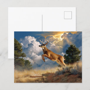 Carte Postale Buck White Tailed