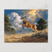 Carte Postale Buck White Tailed (Devant)