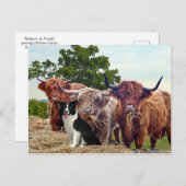Carte postale "Buckeroo & Friends" (Devant / Derrière)