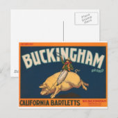 Carte Postale Buckingham (Devant / Derrière)