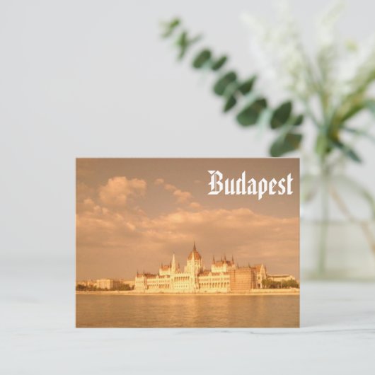 Carte Postale Budapest (Debout devant)