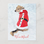 Carte Postale Budget Déplacer Chien De Noël En Mignonne Costume  (Devant)