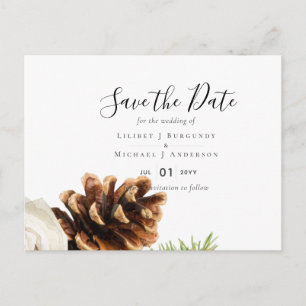 Carte Postale BUDGET Hiver Eucalyptus Pine Cônes Mariage