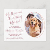 Carte Postale Budget Mariage Pet Photo Rose Or Enregistrer La Da (Devant)