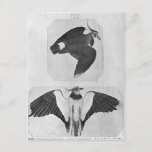 Carte Postale Budgets, de l'Album Vallardi