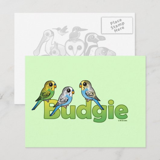 CARTE POSTALE BUDGIE (Devant / Derrière)