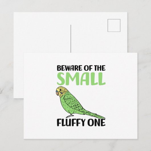 Carte Postale budgie (Devant / Derrière)