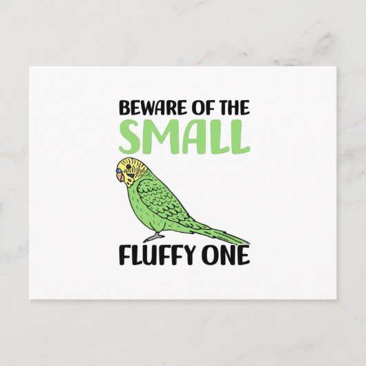 Carte Postale budgie (Devant)